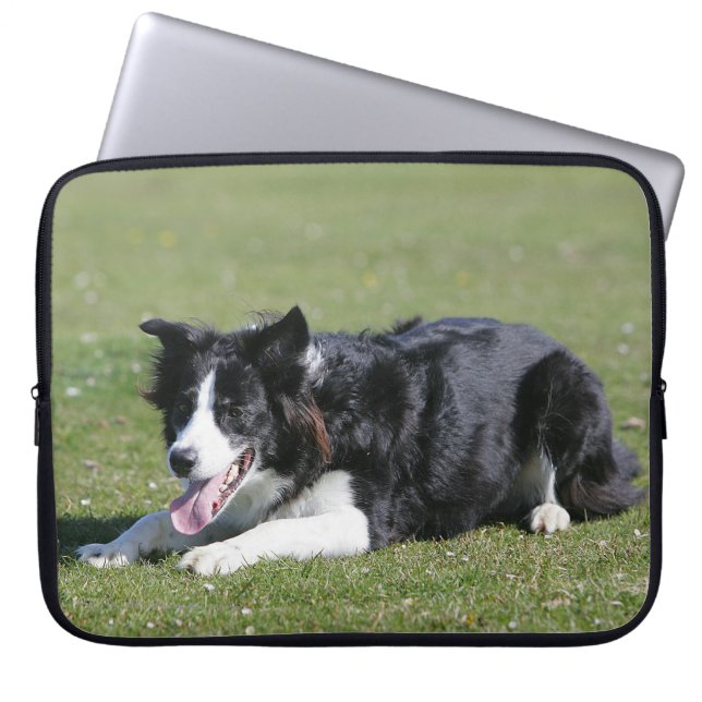 Border Collie Laying Down Laptop Sleeve (Front)