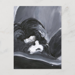  Border Collie Laying Down Painting Postcard