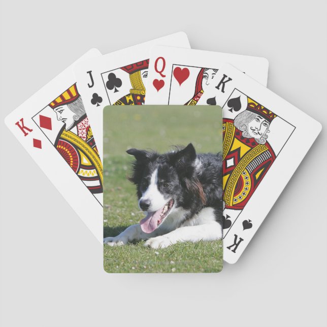 Border Collie Laying Down Playing Cards (Back)