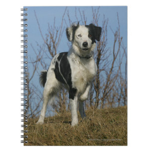 Border Collie Leg Raised Spiral Notebook