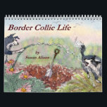 Border Collie Life wall calendar<br><div class="desc">A different picture every month to illustrate some of the activities Border Collie engage in when they have time off.</div>