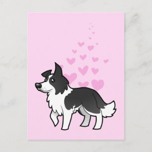 Border Collie Love Postcard