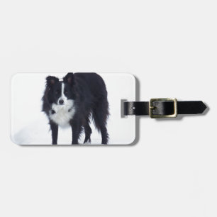 Border Collie Luggage Tag