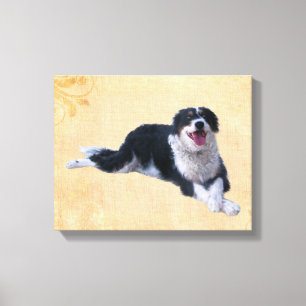 Border Collie Mix Canvas Print
