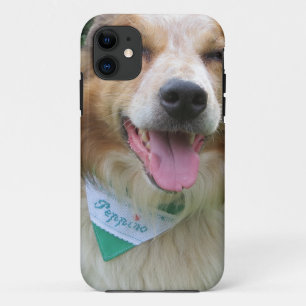 border collie mix Case-Mate iPhone case