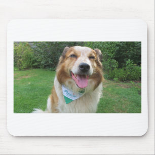 border collie mix mouse pad