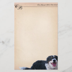 Border Collie Mix Stationery