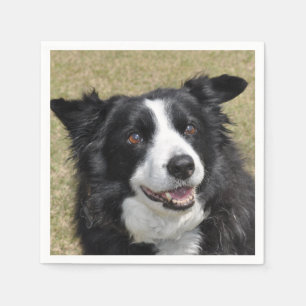 Border collie napkin