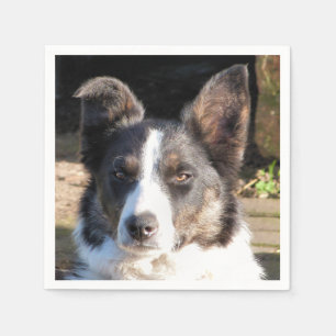 BORDER COLLIE NAPKIN