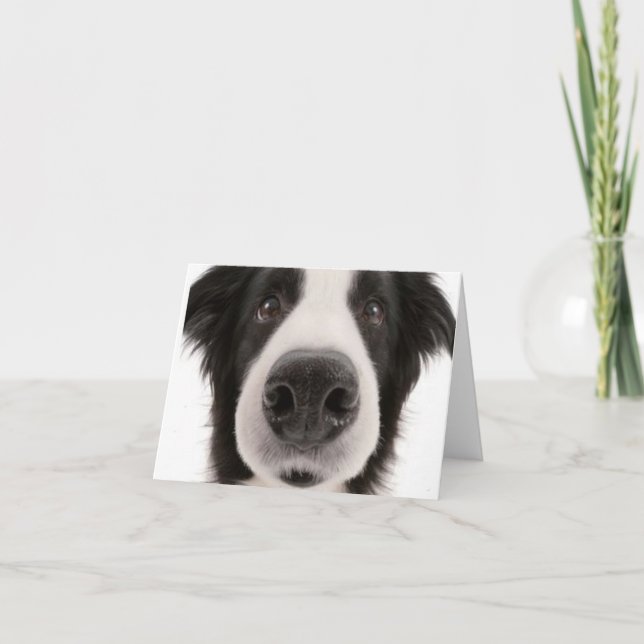 Border Collie Notecard (Front)