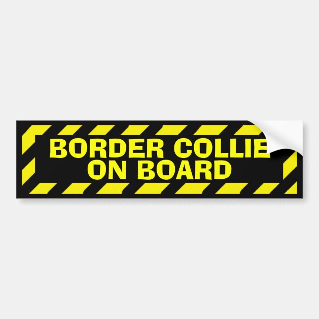 Border Collie on board yellow caution sticker (Front)