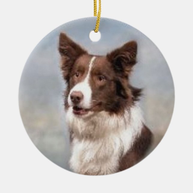 Border Collie Ornament (Front)