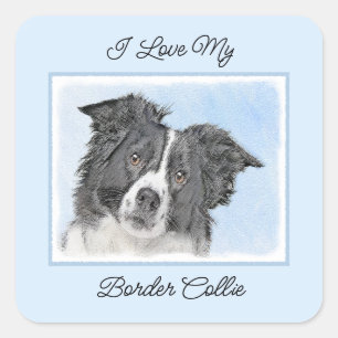 Border Collie Painting - Cute Original Dog Art Square Sticker