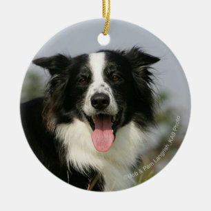 Border Collie Panting Headshot 1 Ceramic Tree Decoration