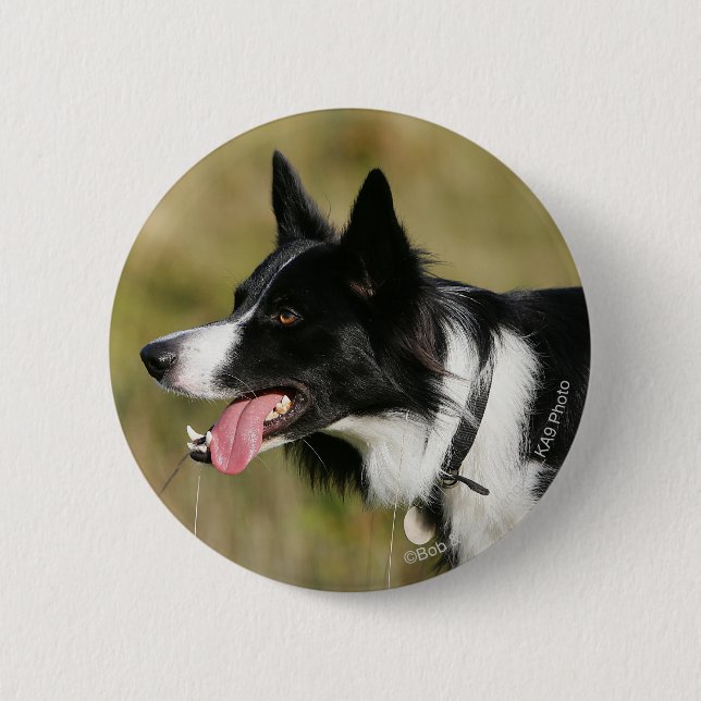 Border Collie Panting Headshot 2 6 Cm Round Badge (Front)