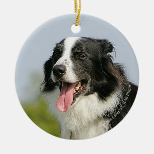 Border Collie Panting Standing Ceramic Tree Decoration