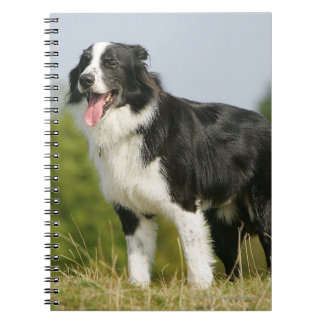 Border Collie Panting Standing Spiral Notebook