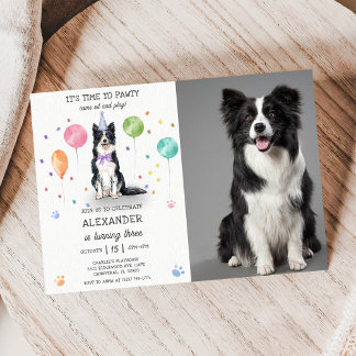Border Collie Pawty Dog Puppy Birthday Blue Photo Invitation