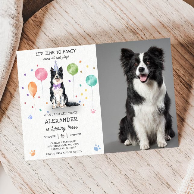 Border Collie Pawty Dog Puppy Birthday Blue Photo Invitation (Creator Uploaded)