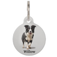 Border Collie Personalise