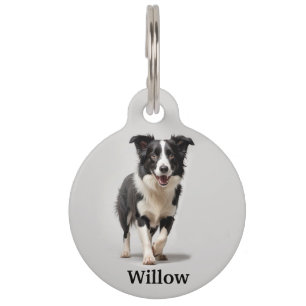 Border Collie Personalise Pet Tag
