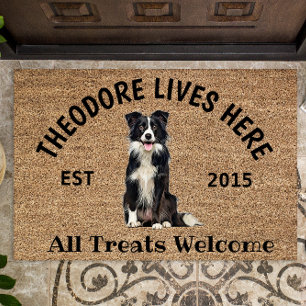 Border Collie Personalised Dog Lover Doormat