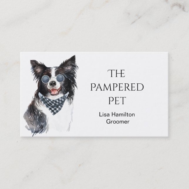Border Collie Pet Groomer/Vet/Sitters Business Card (Front)