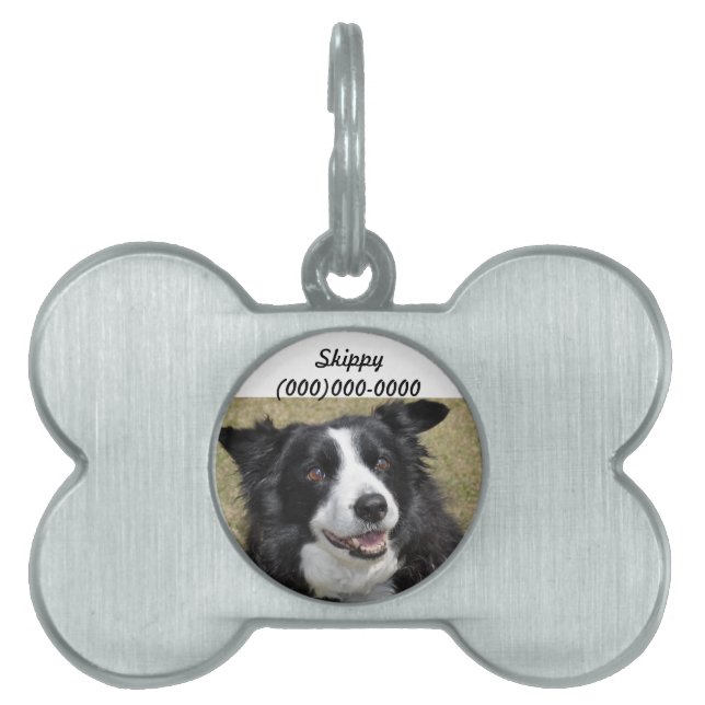 Border Collie Pet Name Tag (Front)
