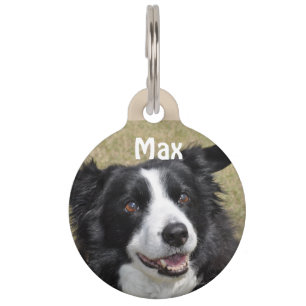 Border Collie Pet Tag