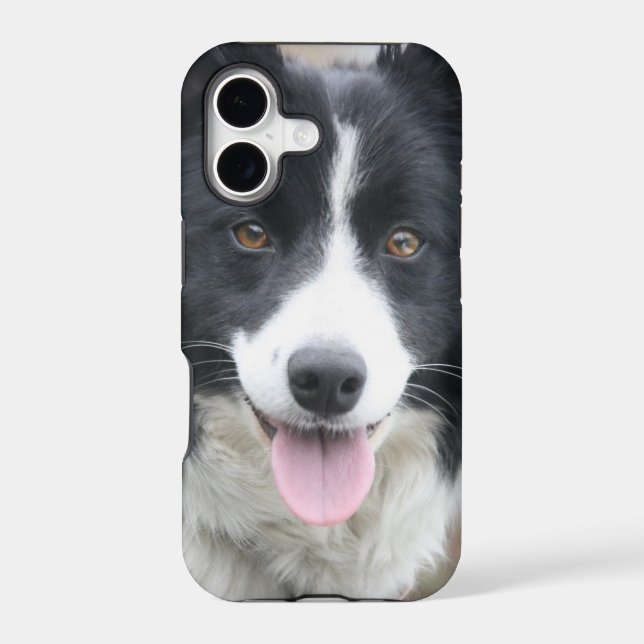 Border Collie Phone Case (Back)