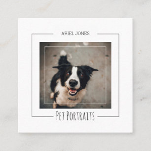 Border Collie Photograph Pet Portraits Photography Square Business Card