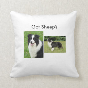 Border Collie Pillow