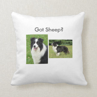 Border Collie Pillow