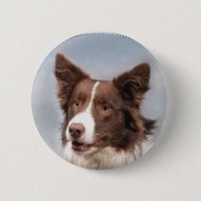 Border Collie Pin (Front)