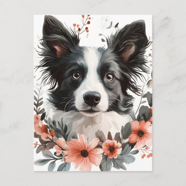  Border Collie Portrait with Floral Frame Postcard (Front)