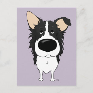 Border Collie Postcard