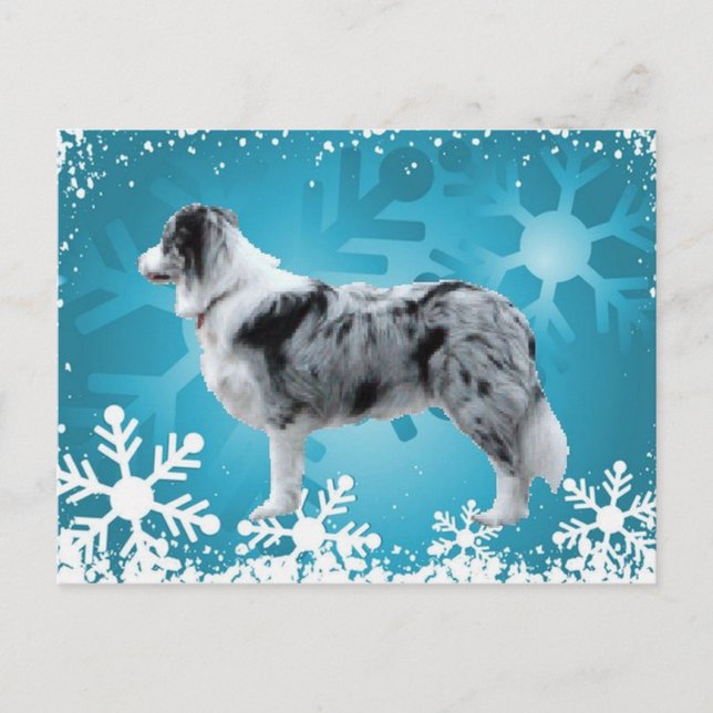 Border Collie Postcard~Christmas Holiday Postcard (Front)