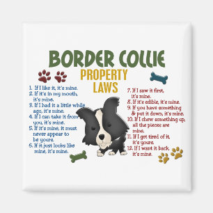 Border Collie Property Laws 4 Magnet