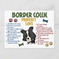 Border Collie Property Laws 4