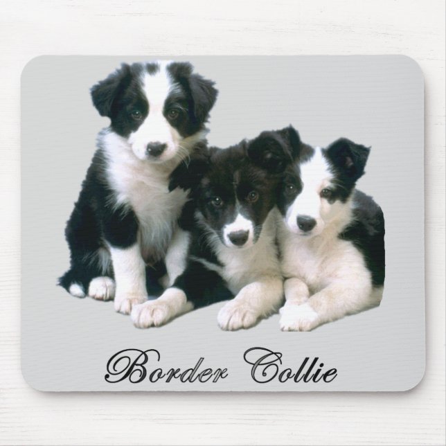 Border Collie Puppies Mouse Pad (Front)