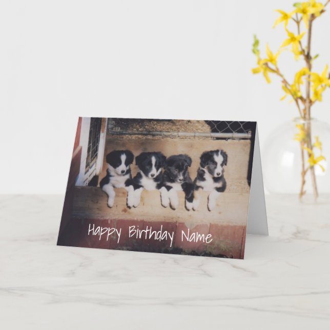 Border Collie Puppies Personalised Birthday Card (Yellow Flower)