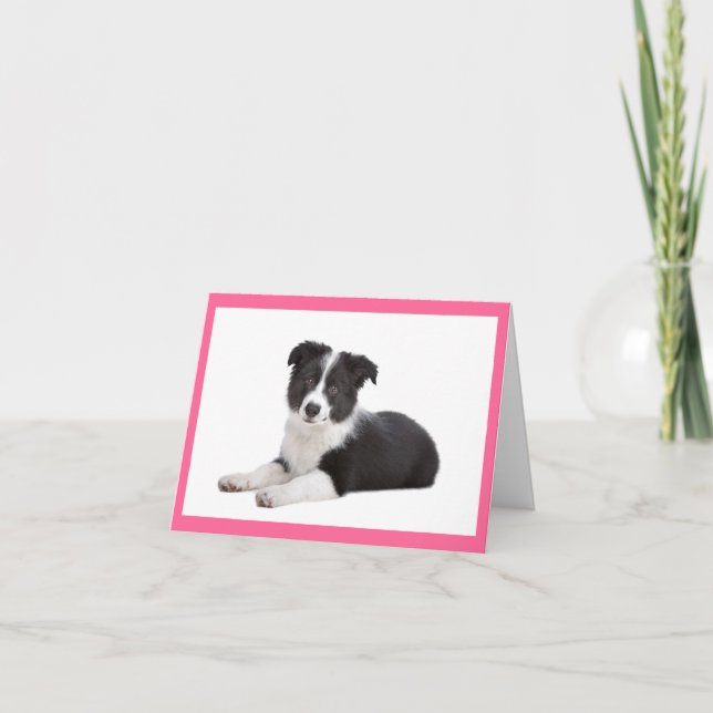 Border Collie Puppy Dog Blank Note Card (Front)
