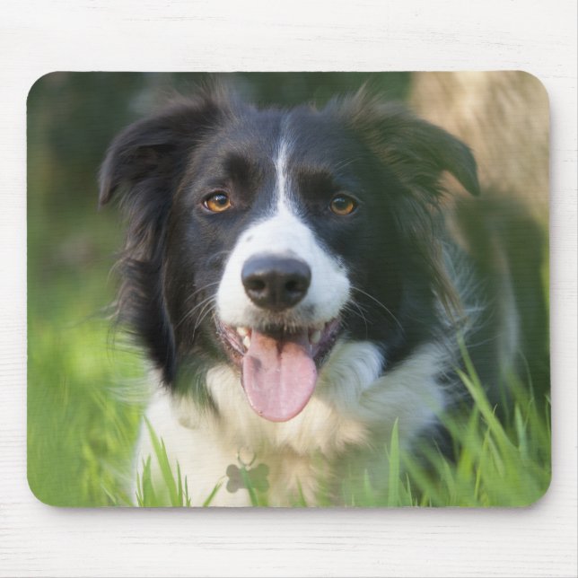 Border Collie Puppy Dog Mousepad (Front)