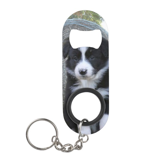 Border Collie Puppy Farm Life, (Front)
