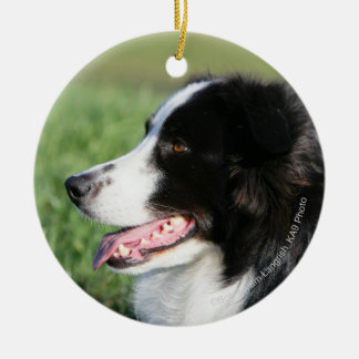 Border Collie Puppy Laying Down Ceramic Tree Decoration