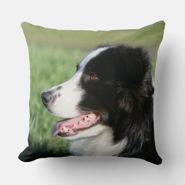 Border Collie Puppy Laying Down Cushion (Front)