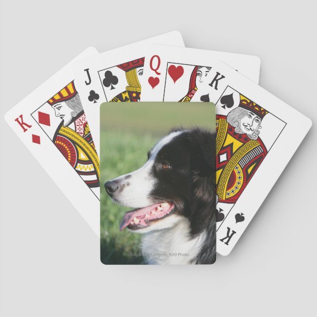 Border Collie Puppy Laying Down Playing Cards (Back)