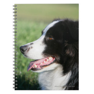 Border Collie Puppy Laying Down Spiral Notebook