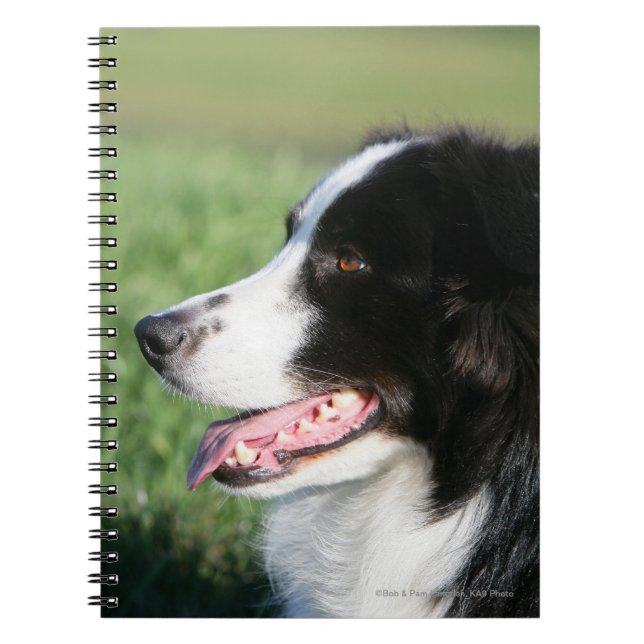 Border Collie Puppy Laying Down Spiral Notebook (Front)
