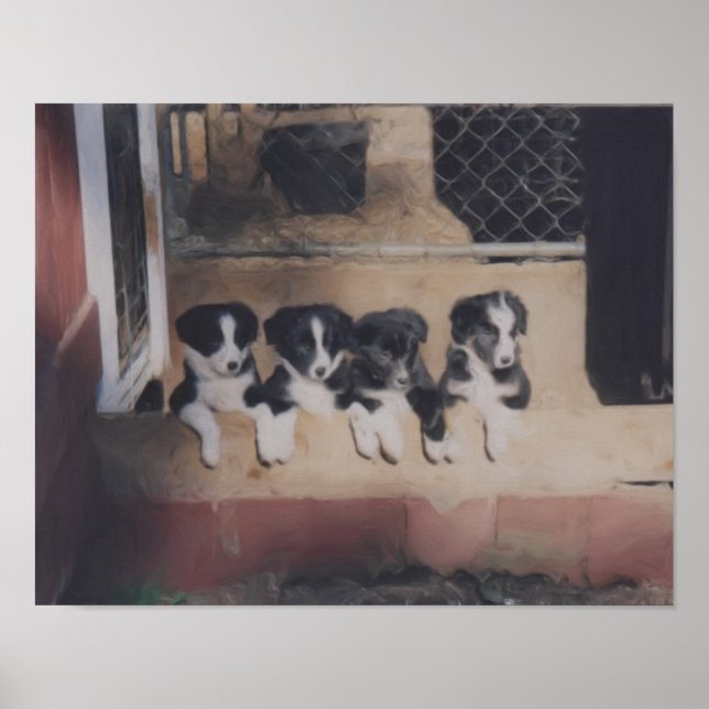Border Collie Puppy Litter Oil Painting Poster (Front)